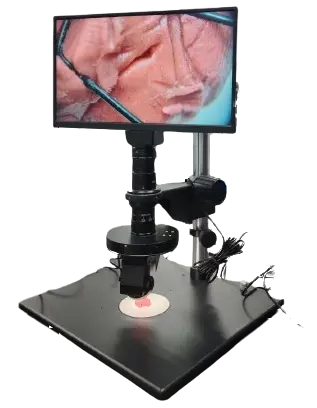 Basic Digital Video Microscope