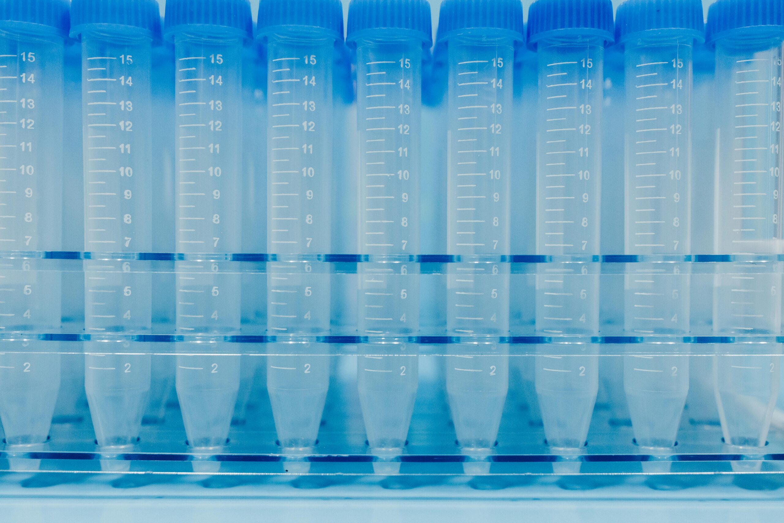 example samples for batch measurement