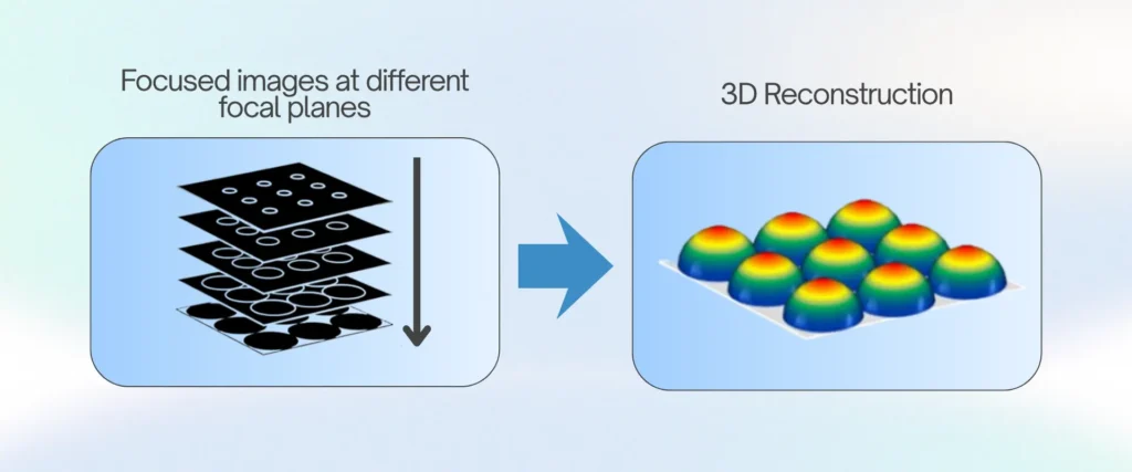 3D Image Construction using Confocal Microscopy