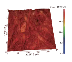 Paper Fiber